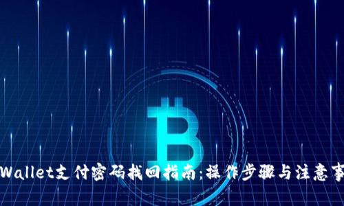 tpWallet支付密码找回指南：操作步骤与注意事项