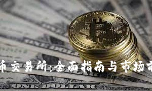 数字货币交易所：全面指南与市场前景分析