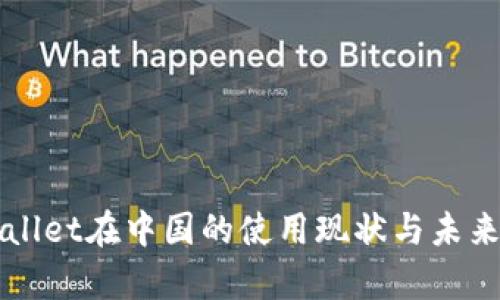 tpWallet在中国的使用现状与未来展望