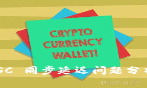 tpWallet BSC 同步延迟问题分析及解决方案