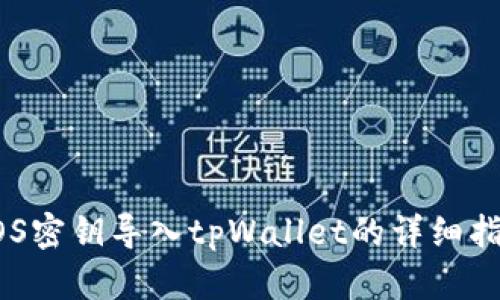 EOS密钥导入tpWallet的详细指南