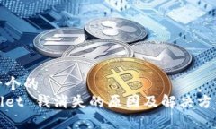 思考一个的  tpWallet 钱消失