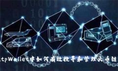 : 在tpWallet中如何有效搜寻