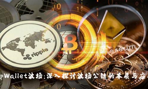 tpWallet波场：深入探讨波场公链的本质与应用