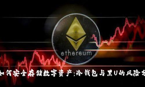 : 如何安全存储数字资产：冷钱包与黑U的风险分析