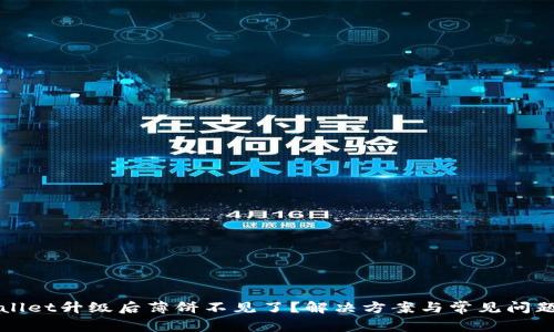 tpWallet升级后薄饼不见了？解决方案与常见问题解析