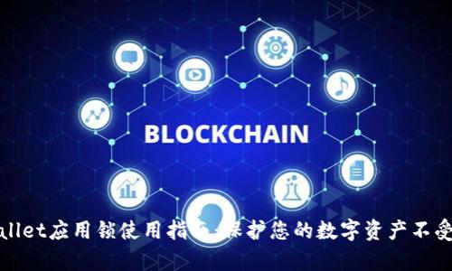 tpWallet应用锁使用指南：保护您的数字资产不受侵犯