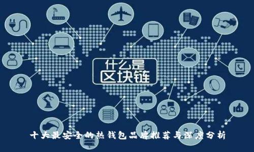 十大最安全的热钱包品牌推荐与深度分析