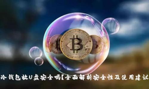 冷钱包放U盘安全吗？全面解析安全性及使用建议